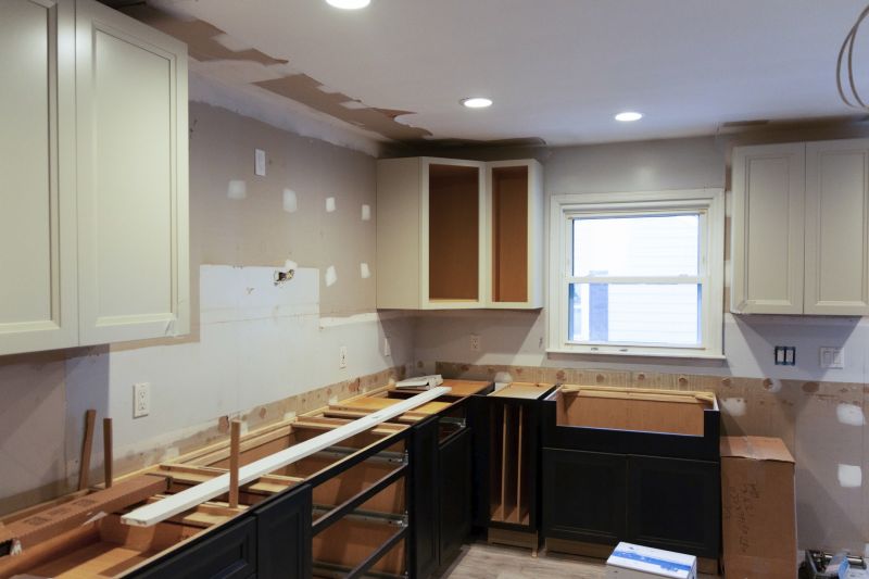Kitchen Cabinet Area